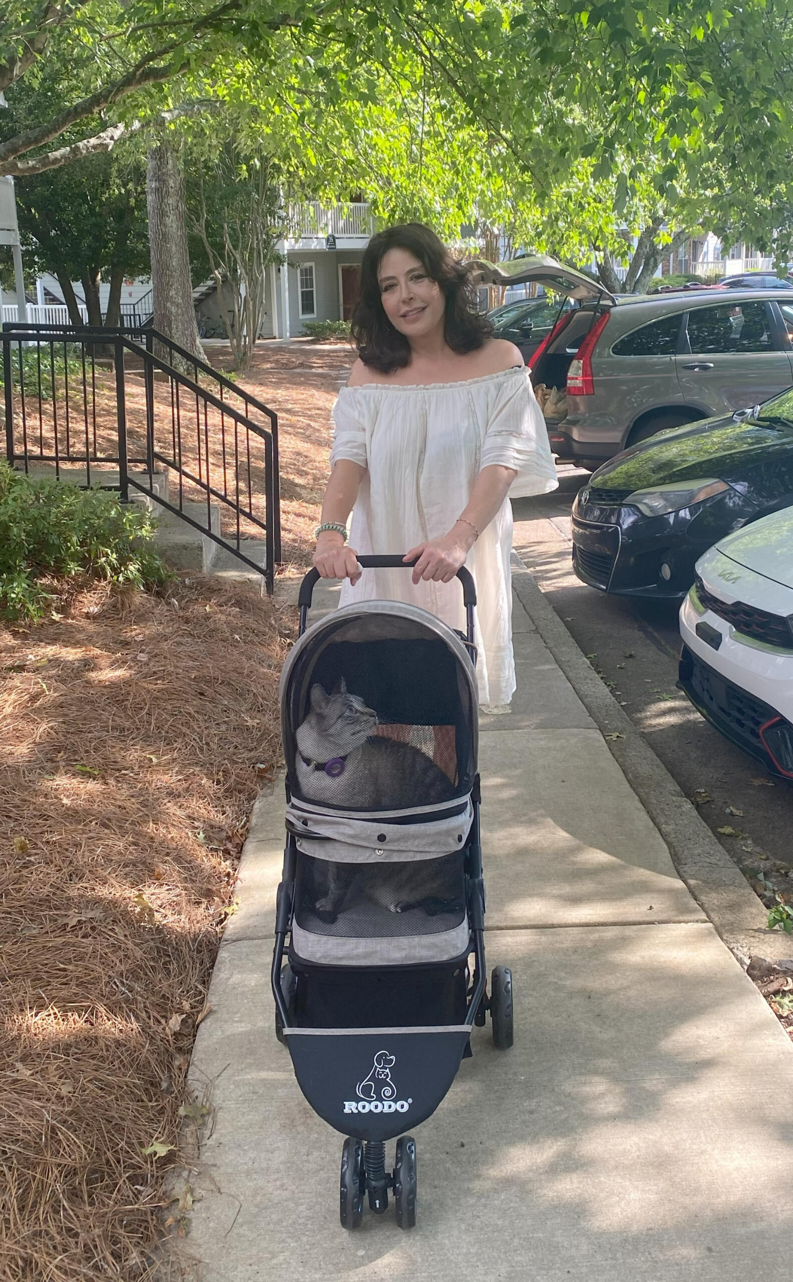 ASU Pet Sitting - Cat Stroller Walks and Outdoor Adventures. ASU walking with a tabby cat safely secured in a modern pet stroller through a beautiful autumn neighborhood, demonstrating specialized care for cats who enjoy outdoor experiences.